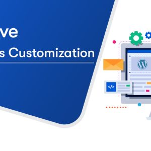 WordPress Customization Service